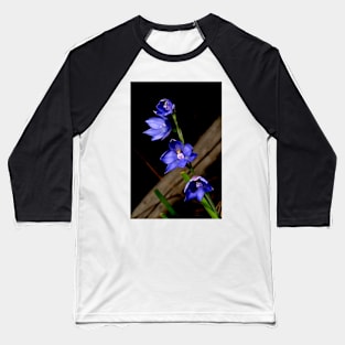 Sun Orchid Quartet Baseball T-Shirt